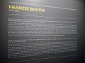 Bacon e Freud 06